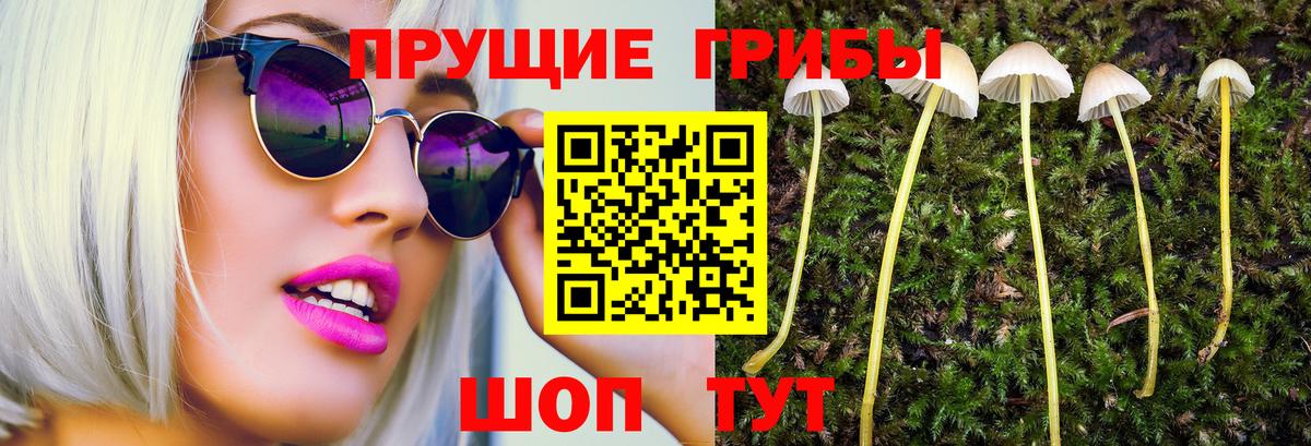 Псилоцибиновые грибы прущие грибы  Галлюциногенные грибы Psilocybe  Вход с VPN  Хасавюрт 