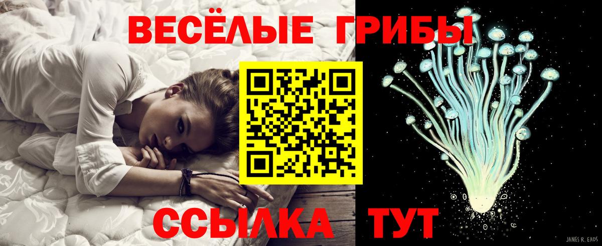 Псилоцибиновые грибы прущие грибы Хасавюрт